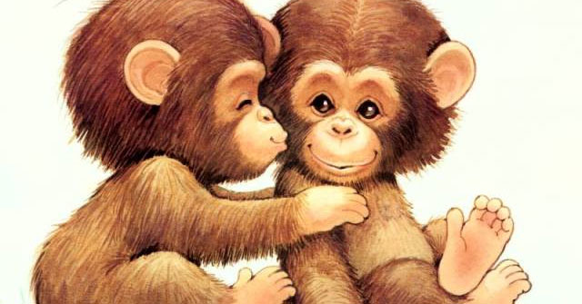 Tả con khỉ trong vườn bách thú
