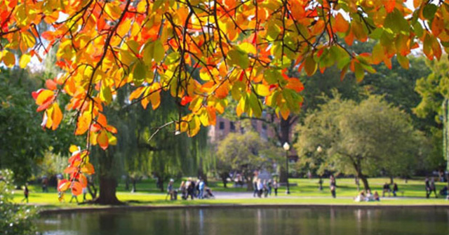 Cảm hứng thu sâu sắc và tinh tế qua bài Sang thu