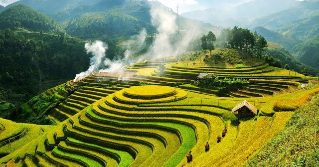 Phân tích cách xưng hô "Ta - mình" trong bài Việt Bắc