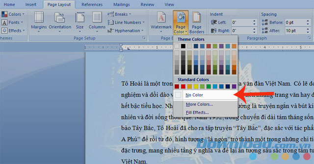  Nhấn No Color