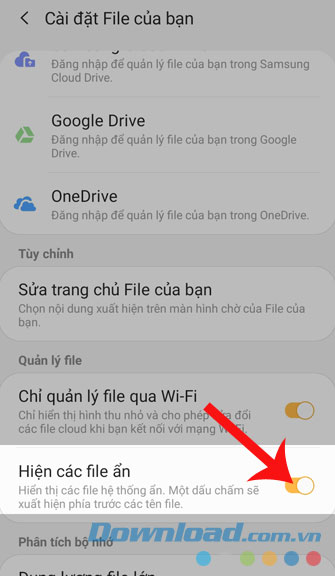 Bật công tắc mục Hiện thị File ẩn