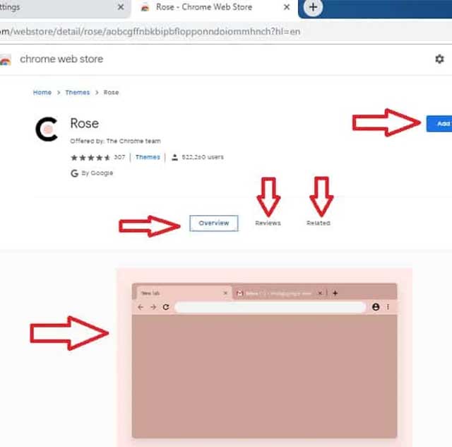 Click vào tùy chọn Add to Chrome