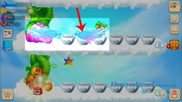 Chậu sau khi được nâng cấp thành công