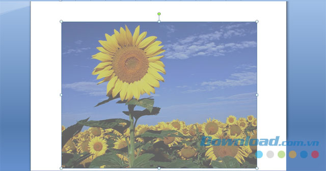 Hình ảnh sau khi làm mờ