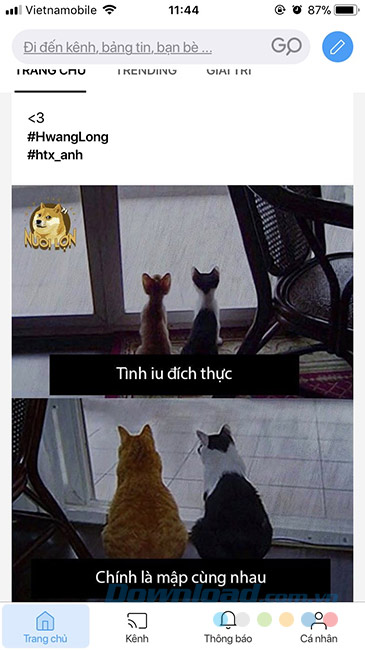 Tin giải trí trên Lotus