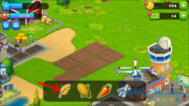 Trồng và thu hoạch lúa