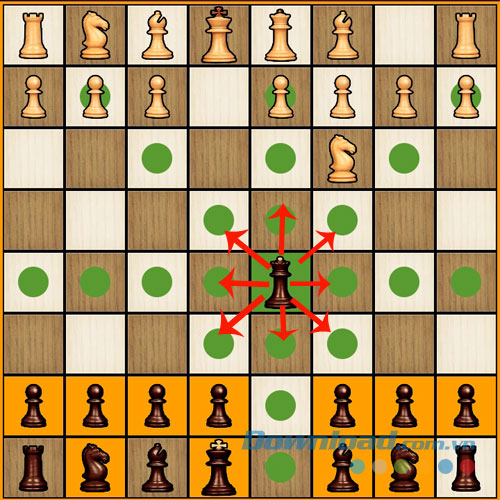 Hướng đi của quân Hậu