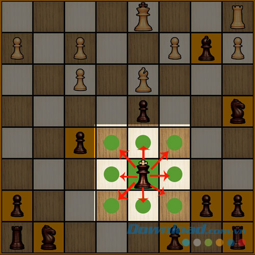 Đường đi của quân Vua