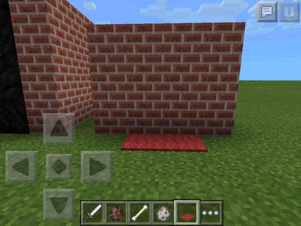 Thảm cho chó trong Minecraft 