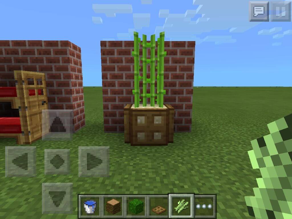 Trồng mía trong Minecraft