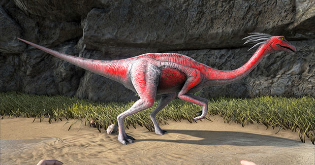 Gallimimus 
