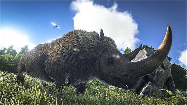 Woolly Rhino