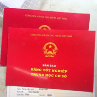 Quyết định 493/QĐ-SGDĐT