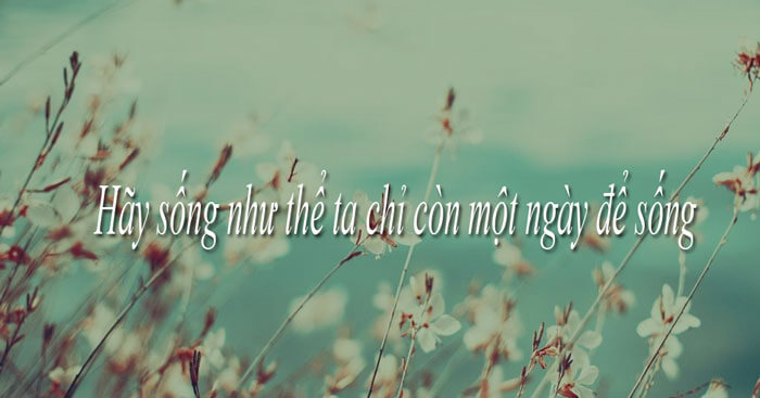 Nghị luận về câu Hãy sống như thể ta chỉ còn một ngày để sống