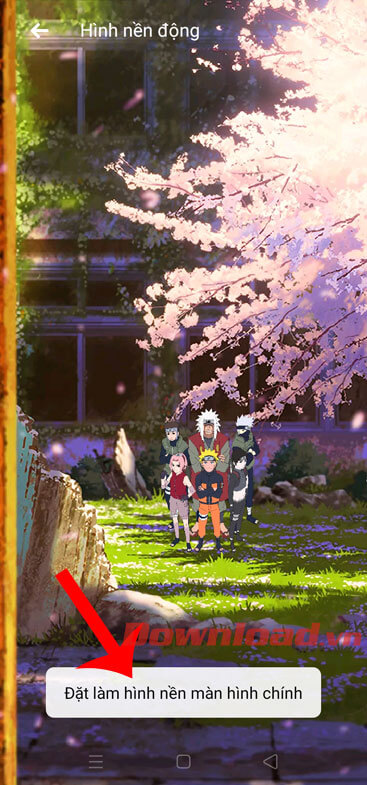Nhấn nút Đặt làm hình nền màn hình chính