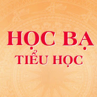 Mẫu nhận xét môn Hoạt động trải nghiệm, hướng nghiệp theo Thông tư 22