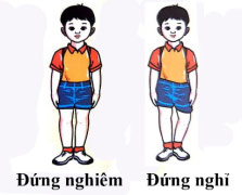 Đứng nghiêm nghỉ