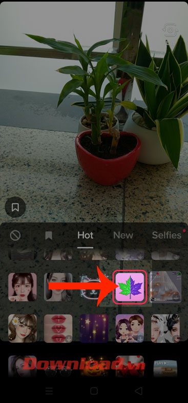 Chạm vào biểu tượng chiếc lá cây