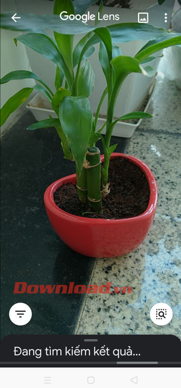 Đợi hệ thông phân tích hình ảnh 