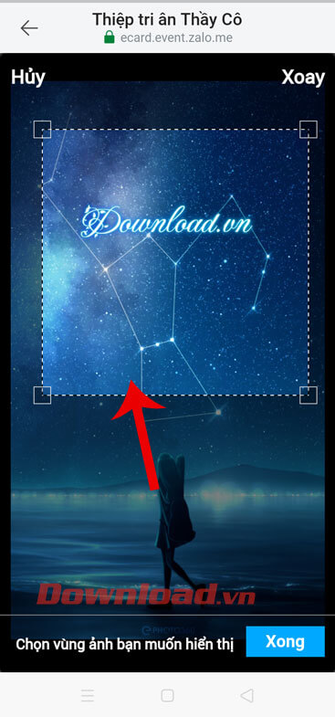 Điều chỉnh kích thước hình ảnh 