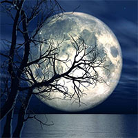 Văn mẫu lớp 8: Phân tích bài thơ Ngắm trăng của Hồ Chí Minh (Sơ đồ tư duy)