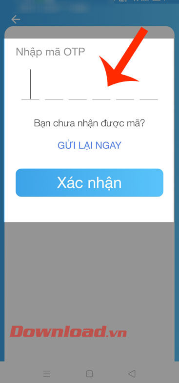 Nhập mã OPT