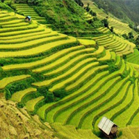 Văn mẫu lớp 12: Cảm nhận 8 câu thơ đầu bài Việt Bắc (3 Dàn ý + 13 mẫu)