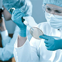 Bộ đề thi học kì 1 môn Khoa học lớp 4 năm 2024 - 2025 (Sách mới)