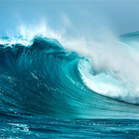 Văn mẫu lớp 11: Phân tích hai khổ thơ đầu bài Sóng của Xuân Quỳnh