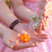 Văn mẫu lớp 12: Nghị luận xã hội quan niệm về hạnh phúc (3 Dàn ý + 33 Mẫu)