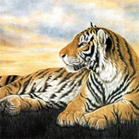 Văn mẫu lớp 9: Phân tích 2 khổ thơ đầu bài Nhớ rừng (Sơ đồ tư duy)