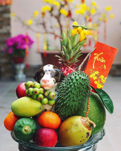 Mâm ngũ quả Miền Trung
