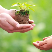 Đoạn văn nghị luận về sự sẻ chia trong cuộc sống (Dàn ý + 29 mẫu)