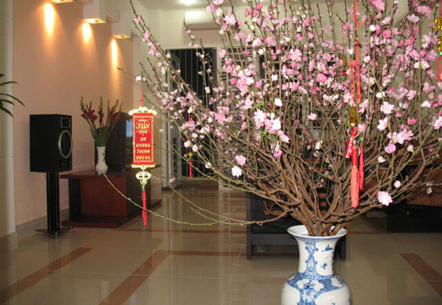 Cành hoa cắm lọ