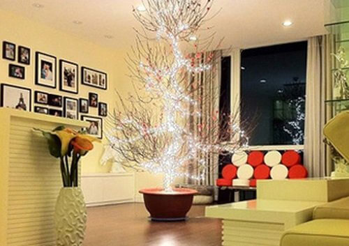 Cây Đào tỏa sáng