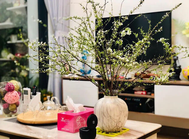 Cắm hoa Tuyết mai