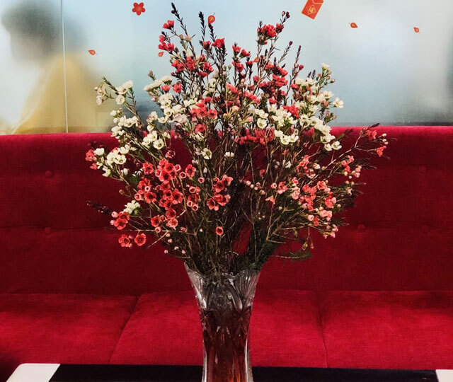 Cắm hoa Thanh Liễu