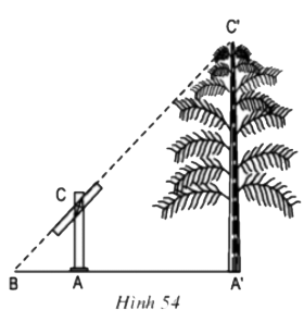 Đo gián tiếp chiều cao của vật