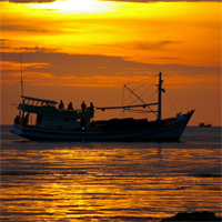 Văn mẫu lớp 12: Cảm nhận về người đàn bà hàng chài