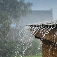 Đoạn văn tả cơn mưa (14 mẫu)