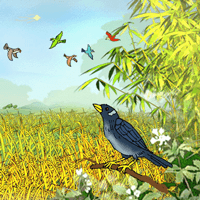 Bài thơ Khi con tu hú