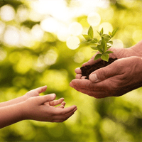 Nghị luận hãy nắm bắt cơ hội để thành công (2 Dàn ý + 15 mẫu)