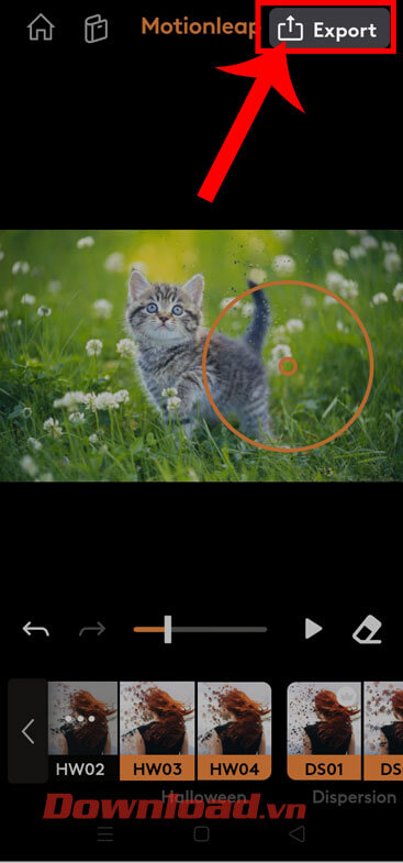 Nhấn vào nút Export