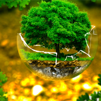 Văn mẫu lớp 11: Nghị luận làm thế nào để môi trường sống của chúng ta ngày càng xanh, sạch, đẹp?