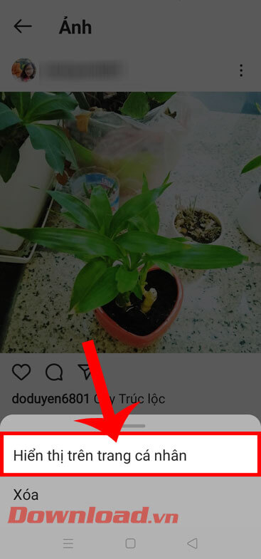 Nhấn vào mục Hiển thị lên trang cá nhân