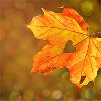 Văn mẫu lớp 9: Tổng hợp mở bài Sang thu của Hữu Thỉnh (52 mẫu)