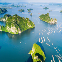 Viết lá thư bằng tiếng Anh về chuyến du lịch (15 Mẫu)