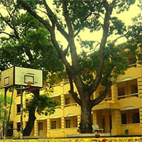 Tập làm văn lớp 5: Tả quang cảnh trường em (Dàn ý + 26 Mẫu)