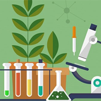 Đề cương ôn tập học kì 2 môn Sinh học lớp 10 năm 2024 - 2025 (Sách mới)