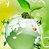 Văn mẫu lớp 9: Đoạn văn nghị luận lối sống có trách nhiệm (14 mẫu)